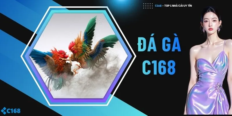 Đá gà C168